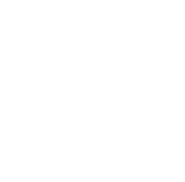 BUSINESS INFORMATION 技