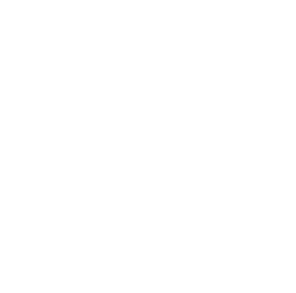 BUSINESS INFORMATION 完