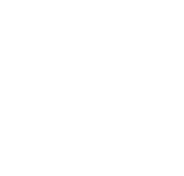 BUSINESS INFORMATION 対